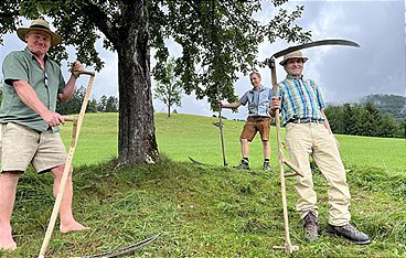 Österreich-Bild am Feiertag