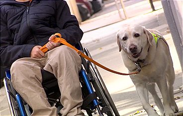 Österreich-Bild aus dem Landesstudio Burgenland