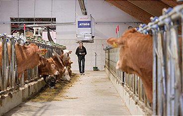 Österreich Bild aus dem Landesstudio Steiermark