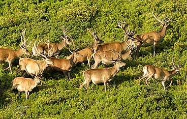 Saalbach-Hinterglemm - Wo sich Natur und Mensch begegnen