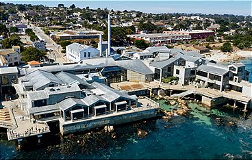 Seeotter - Kaliforniens kleine Helden