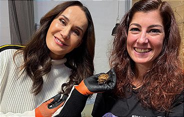 Tierische Augenblicke