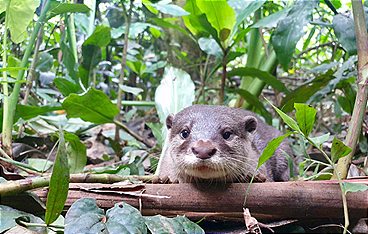 Vietnams tropischer Süden - Im Reich des Wassers