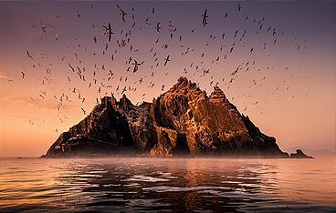 Wildes Irland