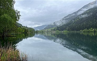 Zurück zur Natur