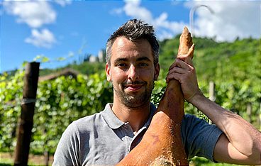 Collio - Italiens Hügel der Genüsse