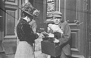 Das alte Wien in frühen Fotos