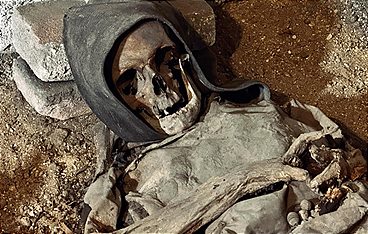 Die Habsburger in Europa - Aufbruch in die Moderne