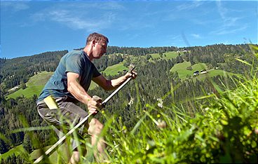 Heimat Österreich
