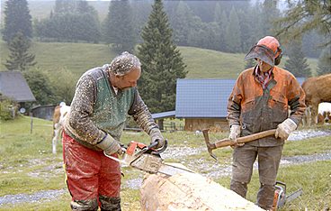 Heimat Österreich