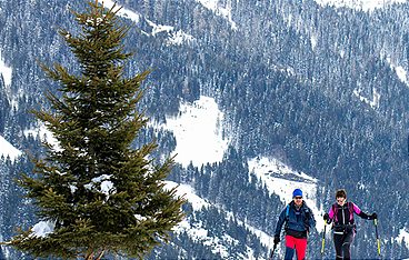 Hermann Maier: Meine Heimat - Naturjuwel Salzburg