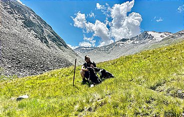 Land der Berge