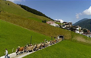 Land der Berge