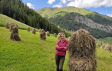 Land der Berge