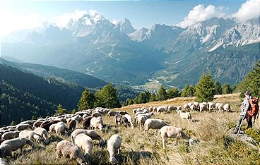 Land der Berge