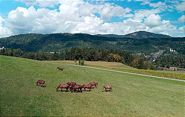 Landleben
