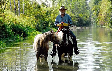Mustangs - Lebende Legenden: Die mit den Pferden sprechen