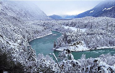 Tierwelt der Alpen - Winter und Frühling