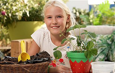 Die Gartenpiraten