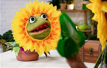 Die Gartenpiraten