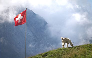 Das Berner Oberland