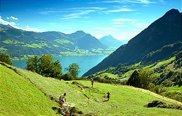 Der Vierwaldstättersee