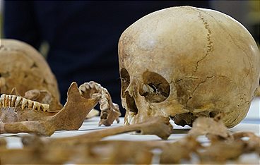 Deutschland in der frühen Bronzezeit