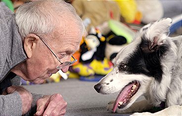 Die geheime Welt der Hunde