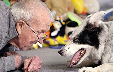 Die geheime Welt der Hunde