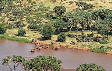Die großen Wanderungen