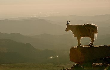 Die Rockies