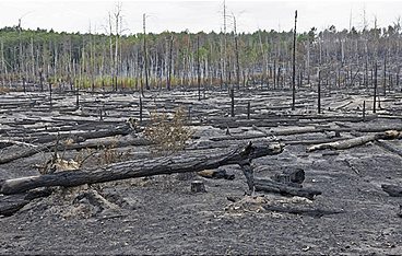Faszination Deutschland
