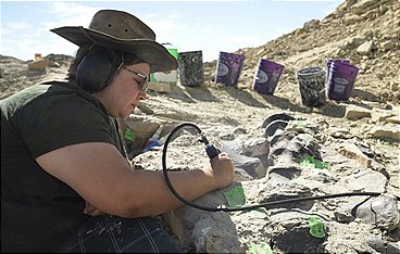 Geheimnisse der Jurassic-Saurier