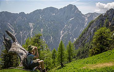 Heimat in den Alpen