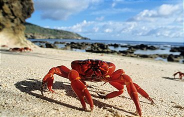 Magie der Jahreszeiten