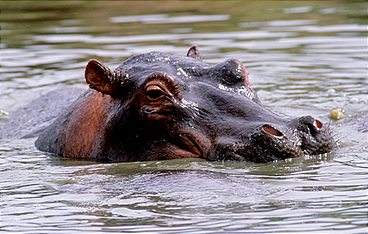 Naturparadiese am Äquator