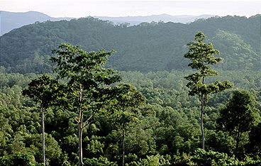 Naturparadiese am Äquator