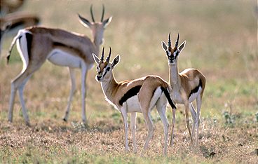 Naturparadiese am Äquator