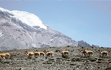 Naturparadiese am Äquator