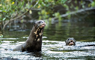 Naturparadiese am Äquator