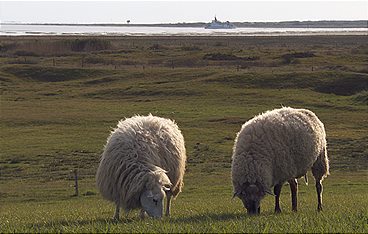 Strände Europas