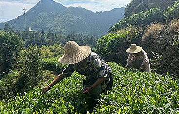 The Chinese Dream - 24 h junges China