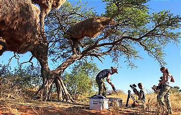 Tierische Wohngemeinschaften
