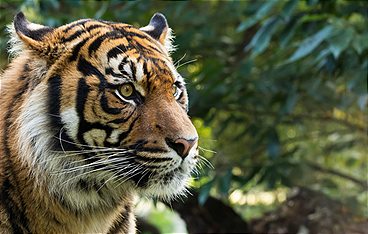 Traumziele Südostasiens