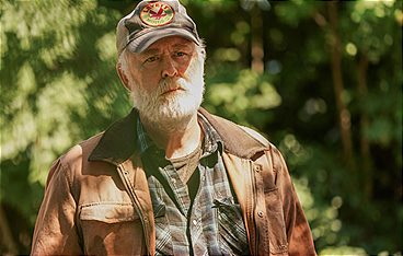 Friedhof der Kuscheltiere