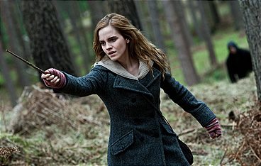 Harry Potter und die Heiligtümer des Todes (1)