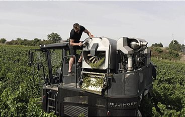 Hillinger & Hillinger