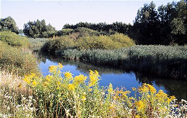 Die Donau