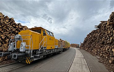 Heimat.Hafen.Rostock.