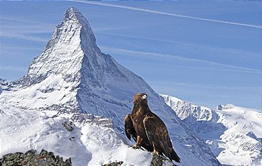 Wilde Alpen